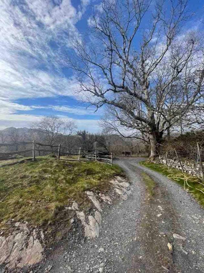 Pandy Farm - Waen Fechan Dolgellau Exterior photo